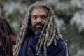 TWD_916_GP_1107_0820_RT.jpg