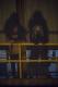 TWD_916_GP_1109_0518_RT.jpg