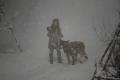 TWD_916_GP_1114_0412_RT.jpg